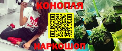 стаф Северобайкальск