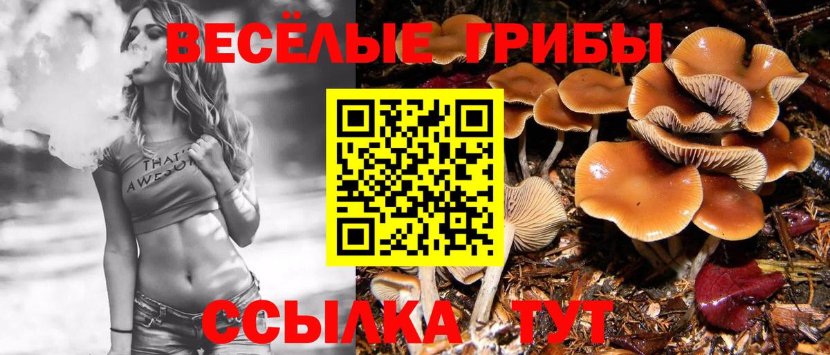 Псилоцибиновые грибы GOLDEN TEACHER Новоалтайск