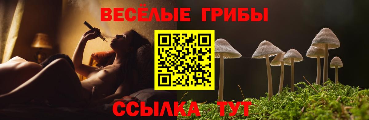 Галлюциногенные грибы мицелий  Псилоцибиновые грибы прущие грибы  Новоалтайск  Вход с VPN 